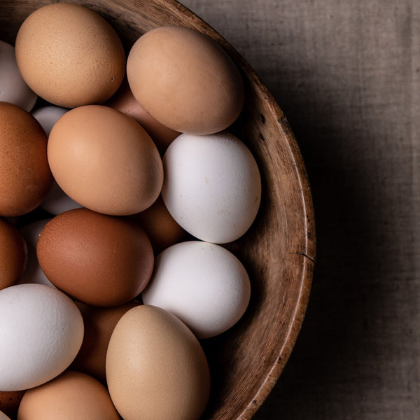 Free Range County Down Pullets (young hens') eggs
