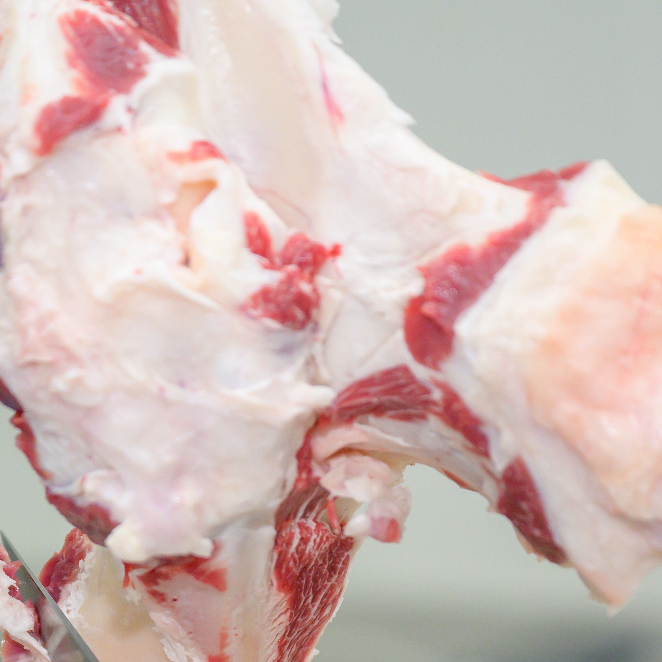 Quick frozen unaged grass fed lamb suet Pheasants Hill Farm