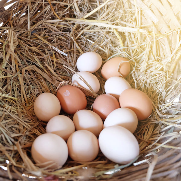 Free Range County Down Hens eggs