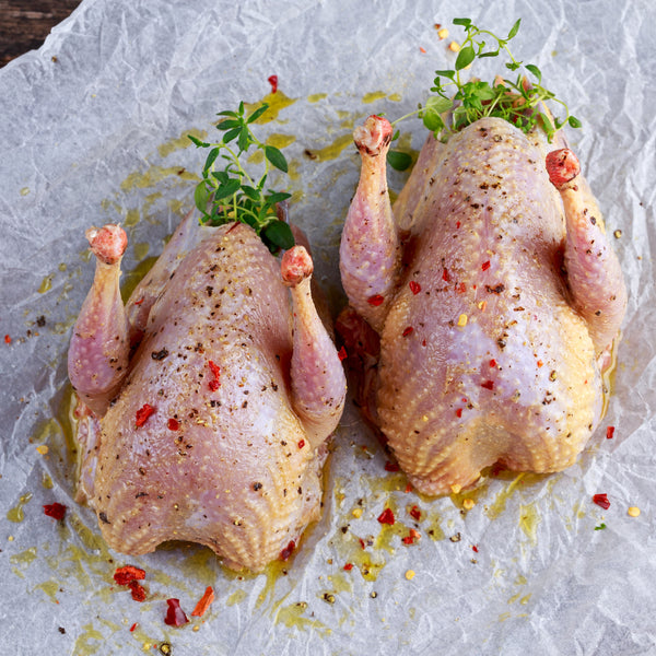 Wild Partridge (Irish, whole, oven ready, frozen)